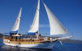 5586 YACHT HALİKARNASLIM Standard Yacht