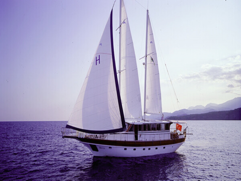 YACHT BRUTUS